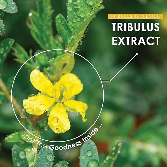 minature Gokshura (Gokhru) (Tribulus Terrestris) Tablets | Pure & Natural Plant Based Herbal Supplement| No Artificial additives, Gluten Free |90 Tablets, 45 Days Supply