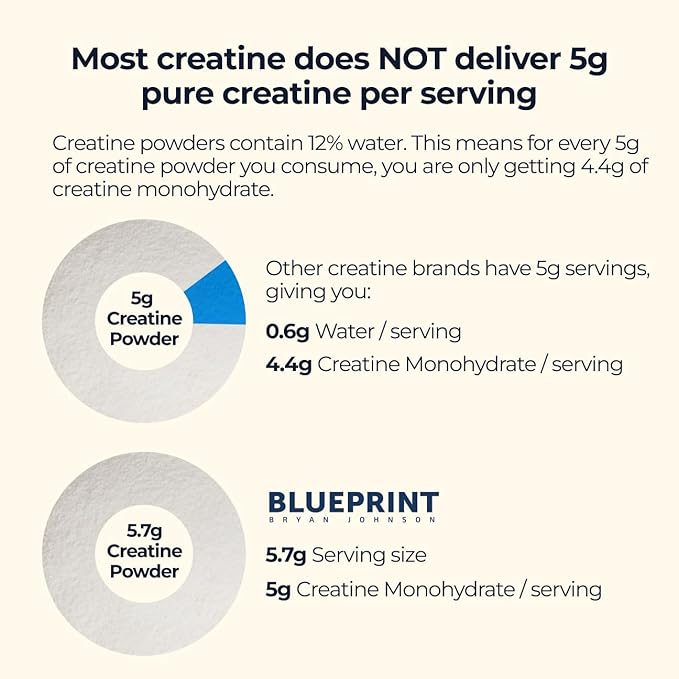 Blueprint Bryan Johnson Creatine Monohydrate Powder - Creatine Supplement for Muscle Builder & Recovery - Promotes Strength, Cognitive & Endurance Support (100 Servings)