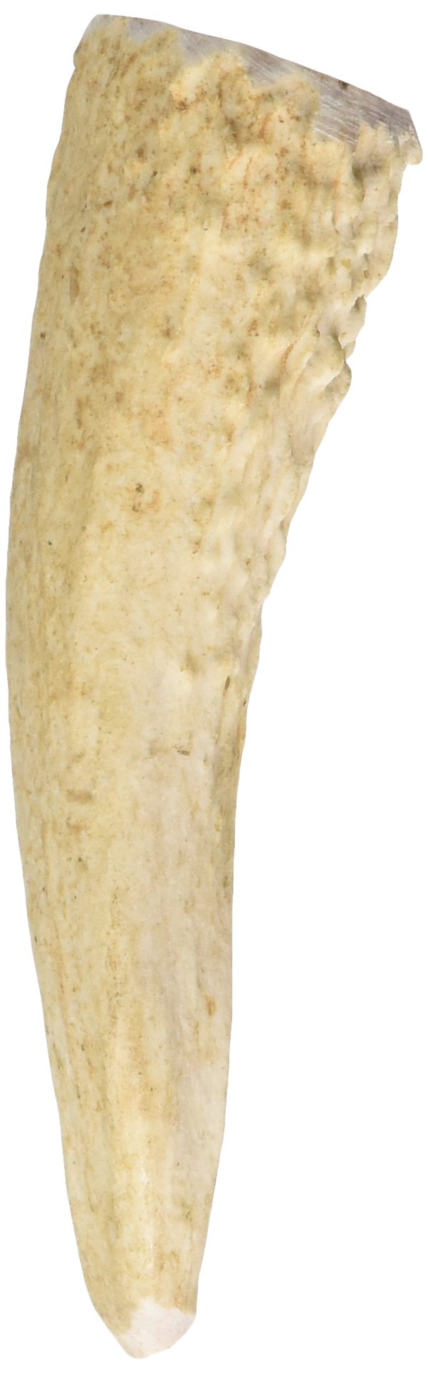 Big Sky Antler Chew, Small 1Ct (Pack of 2)