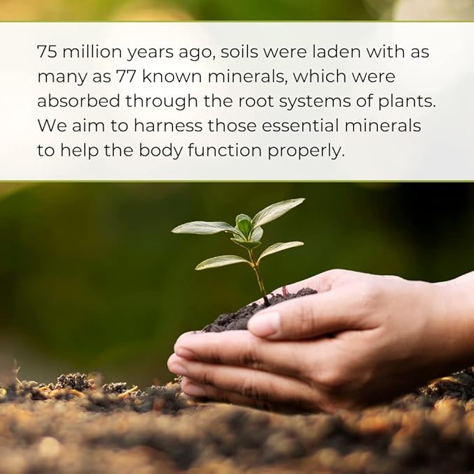 Youngevity Plant Derived Liquid Minerals - 77+ Natural Unaltered Trace Minerals - 19,000mg Plant Mineral Solids - Colloidal Form Humic Shale - (32 oz Pack of 1)