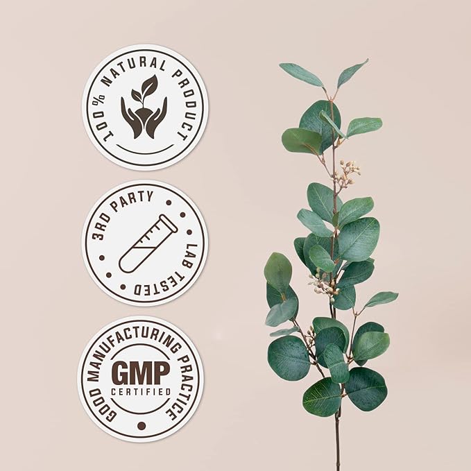 Stinging Nettle Root USDA Organic Alcohol-Free Extract | Dietary Supplement, High-Potency Tincture | Natural Certified Organic Stinging Nettle (Urtica dioica) Dried Root (4 oz)