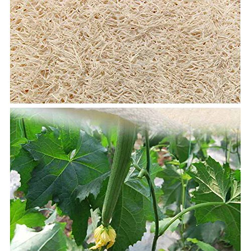 AVESEL Exfoliating Loofah Sponge Pads (Pack of 8) - Large 4x6-100% Natural Luffa and Terry Cloth Materials Loofa Sponge Scrubber Body Glove - Men and Women, Yellow, (Loofah-08)