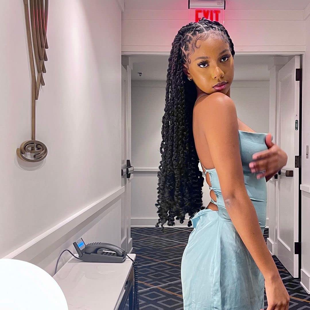 Toyotress Tiana Passion Twist Hair - 24 Inch 8 Packs Pre-Twisted Passion Twists, Long Pre-Looped Crochet Braids Made Of Bohemian