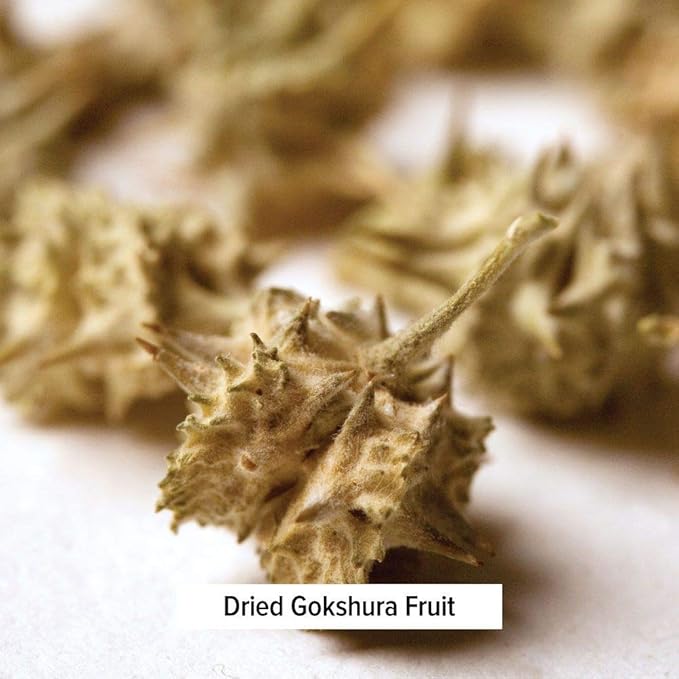 Banyan Botanicals Gokshura Powder– Organic Tribulus Terrestris Fruit – Rejuvenating Tonic for Kidney & Adrenal Health, Stress, and Male Vitality* – ½lb. – Non-GMO Fair for Life Fair Trade Certified