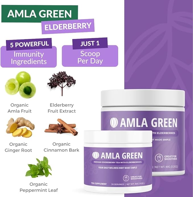 Amla Powder, Green Tea Superfood Supplement with Pumpkin Spice & Hibiscus & Elderberry, Organic, Vegan, 30 Servings