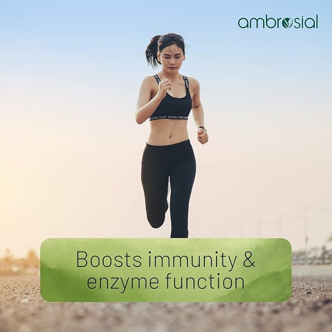 Ambrosial Zinc Tablets High Strength 30 mg (Pack of 2-120 Capsules)