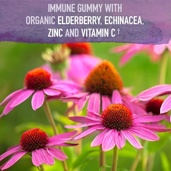 Elderberry Immune Gummy with Echinacea Zinc and Vitamin C Made with Real Fruit as a Real Food Herbal Supplement (120 Vegan Gummy Drops) Pack of 2