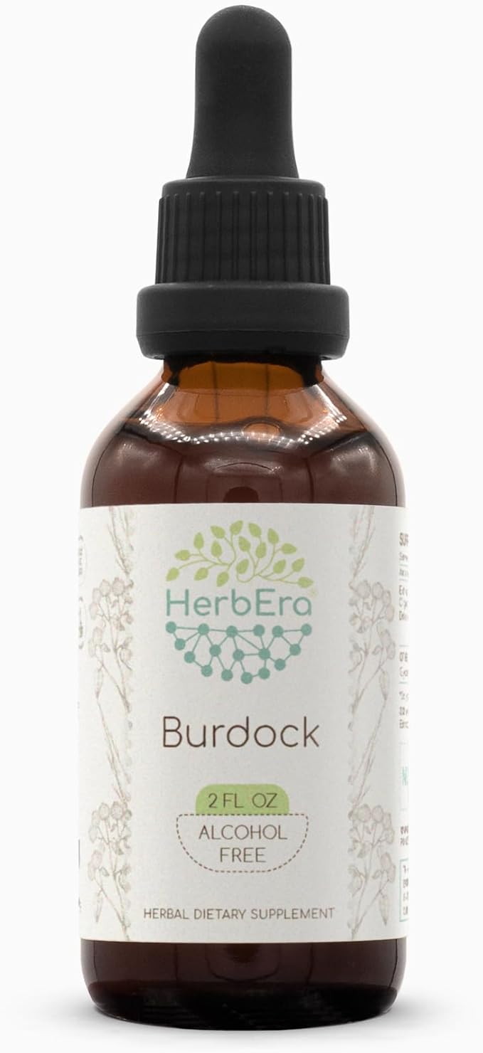 Burdock B60 Alcohol-Free Herbal Extract Tincture, Super-Concentrated Made with Burdock (Arctium Lappa) 2 fl oz
