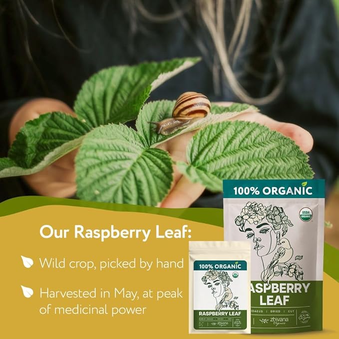 Organic Raspberry Leaf Tea (PACK of 3) - Red Raspberry Leaves for PMS Symptoms, Hormone Balance, Menstural Cramps - Womens Health Support