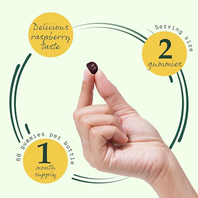 Betterbrand BetterMushrooms Mushroom Gummies to Support Gut Health, Metabolism, Energy, Focus - Lion's Mane, Cordyceps, Chaga & Maitake Mushroom Supplement - Maintains Healthy Immune System