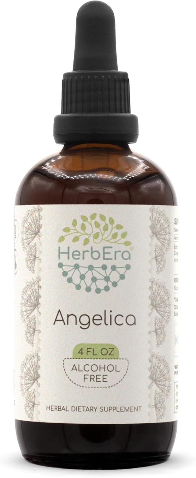 Angelica B120 Alcohol-Free Herbal Extract Tincture, Concentrated Liquid Drops Natural Angelica (Angelica archangelica) Dried Root (4 fl oz)