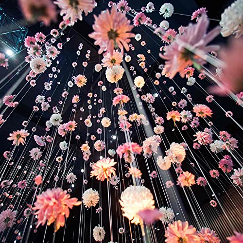 Fishing Line Clear, Acejoz 656FT Clear Fishing Wire for Hanging, 200 Meters 0.3mm Nylon String Supports 17 Pounds, Invisible Fishing Line for Balloon Garland Hanging Decorations Beading and Crafts…