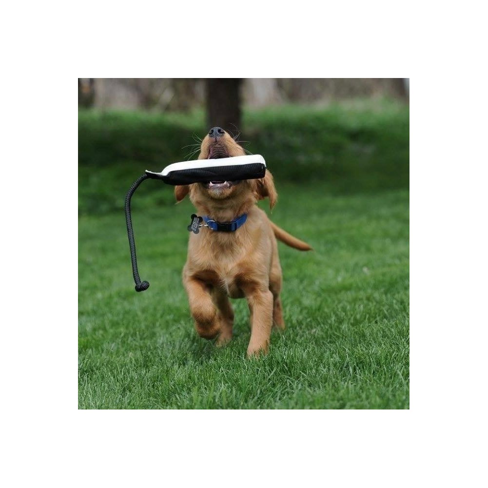 Avery Hexabumper 2 Pro-Packs (Multiple Colors)"