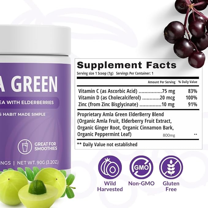 Amla Powder & Green Tea Superfood Supplement with Elderberry & Pumpkin Spice, Organic, Vegan, 30 Servings