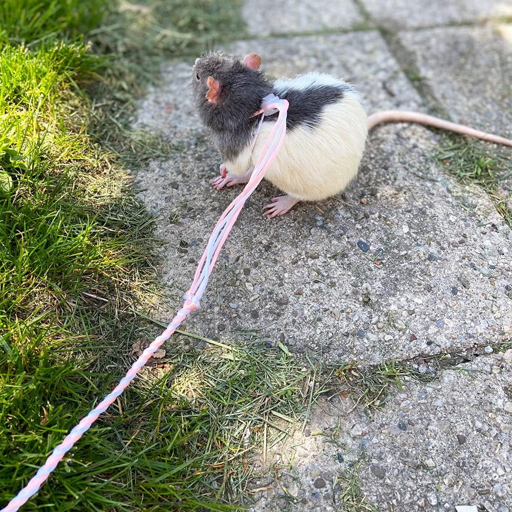 3Pcs Adjustable Hamster Leash Harness with bell for Lead Walking Pet Hamster Gerbil Rat Mouse Harness