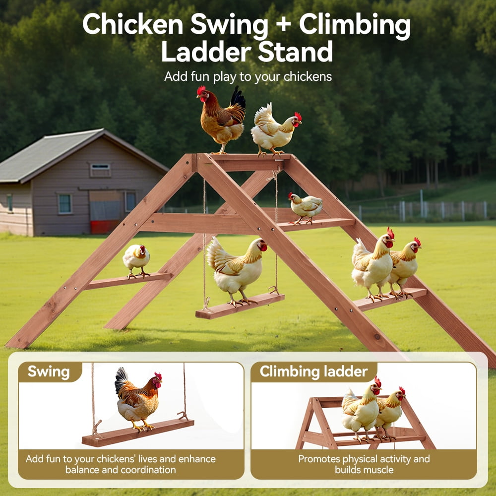 Chicken Roosting Bars for Coop Accessories, DOMIPET Chicken Perches Activity Play with Swing Set, Wooden Chicken Ladder, Chicken Toys Easy to Assemble & Clean