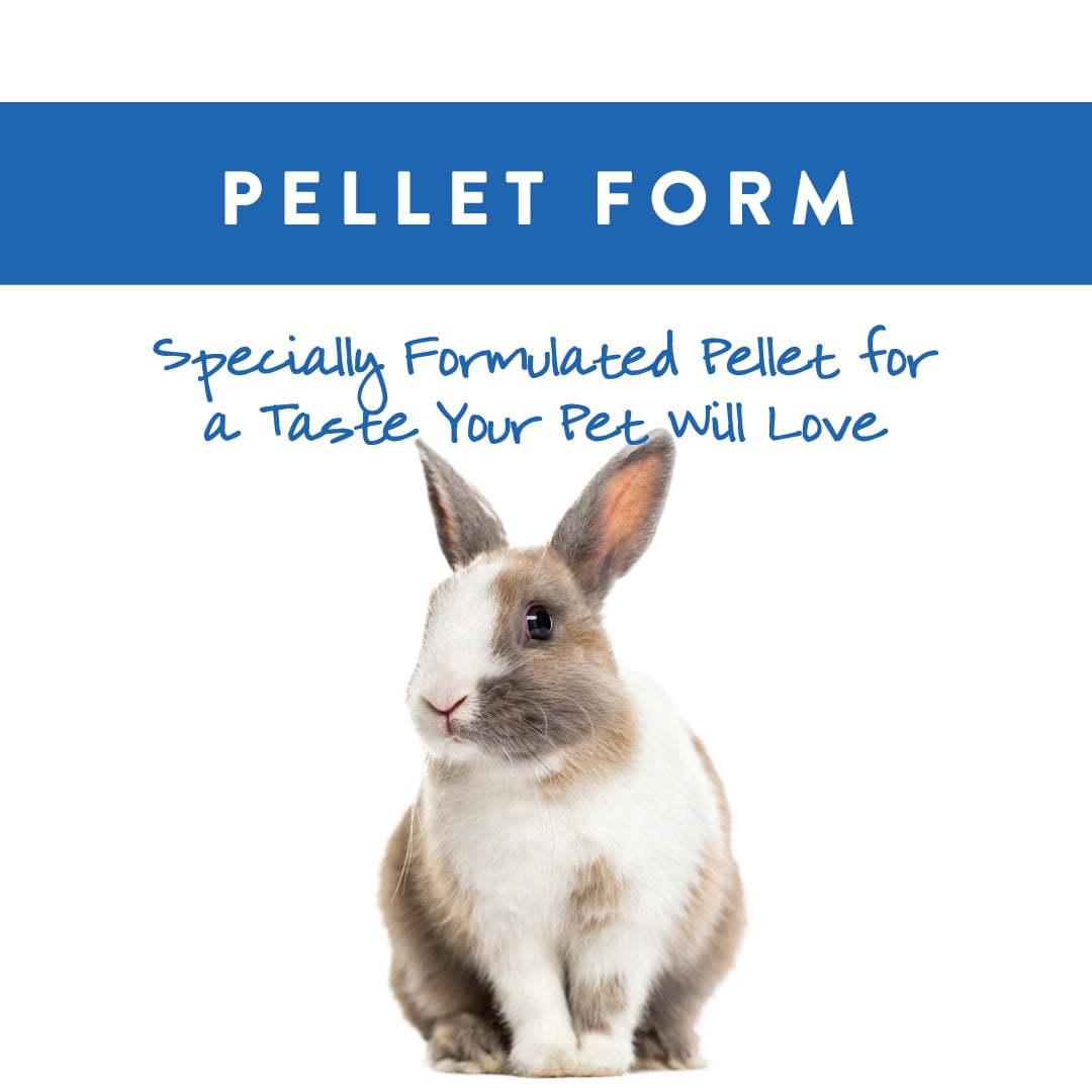 Small World Complete Feed for Rabbits - 10 lbs.