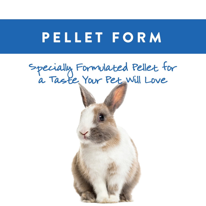 Small World Complete Feed for Rabbits - 10 lbs.