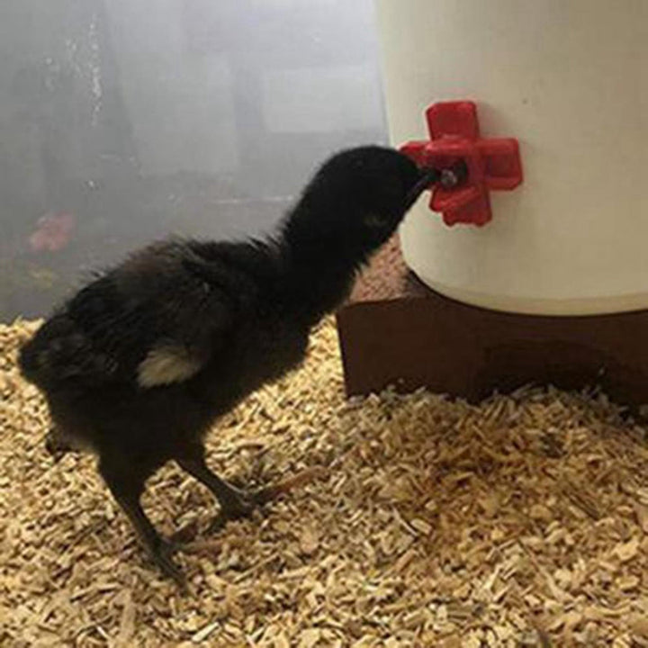 24 Pack Horizontal Side Mount Automatic Poultry Nipples Clean Drinker Waterer for Chicken or Quail