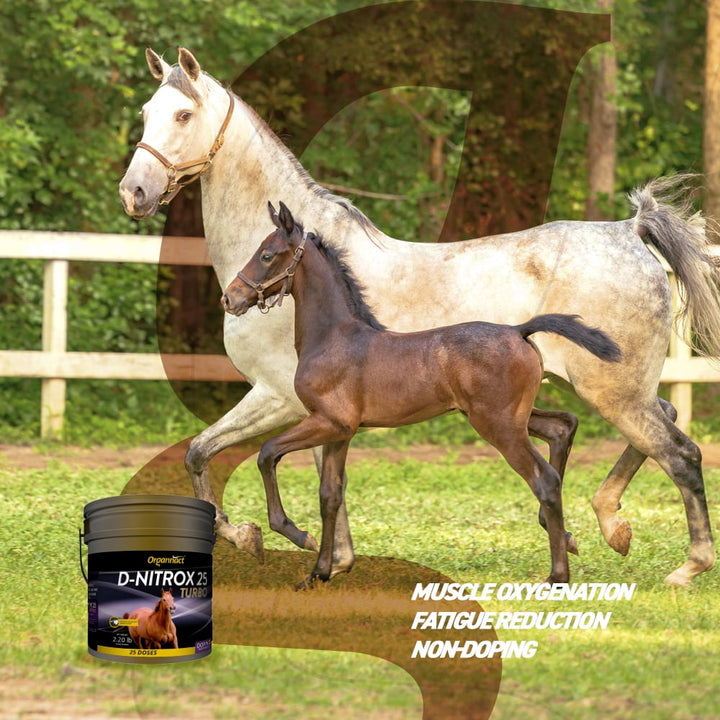 Organnact D NITROX 25 TURBO Equine Supplement - Performance&Energy with Arginine and Taurine 2,2lb (1kg)