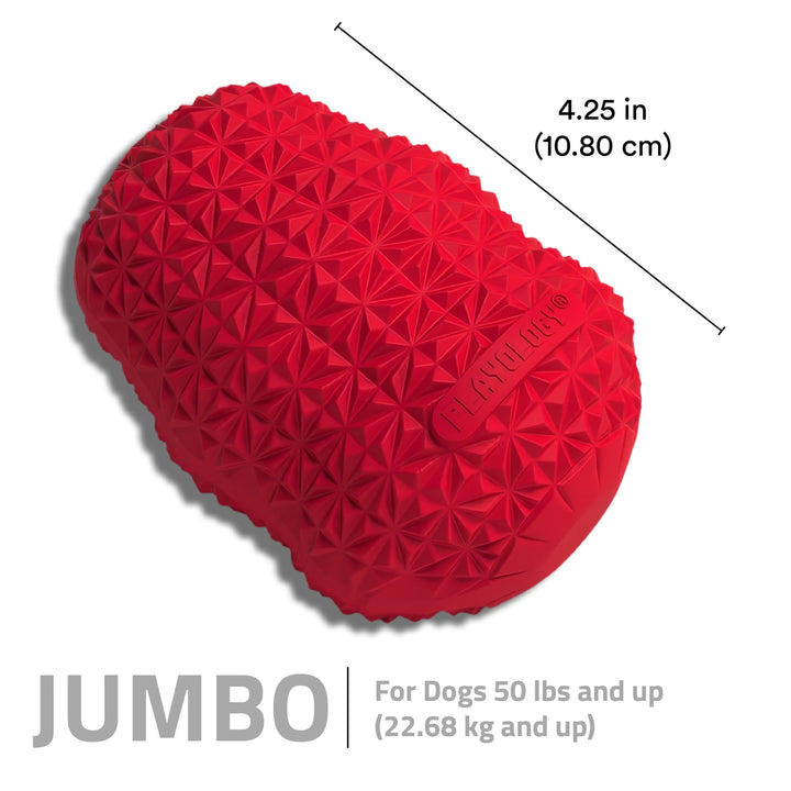 Play by Playology Dog Toys | Interactive Dog Toy | Pinecone, Beef Scented Chew Toy, Large