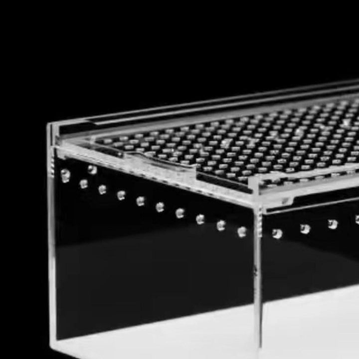 TOOYFUL Reptile Breeding Box Acrylic Animal Habitat Cage for Turtle Geckos Container 20cmx15cmx10cm