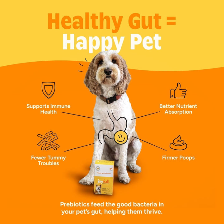 JoyFull Chicken Squeeze Treats for Dogs – Prebiotic Gut Health Treats Made with Real Cage-Free Chicken – Lickable, Enrichment-Friendly, Meal Topper – 24 Easy Squeeze Sticks (0.5oz Each)
