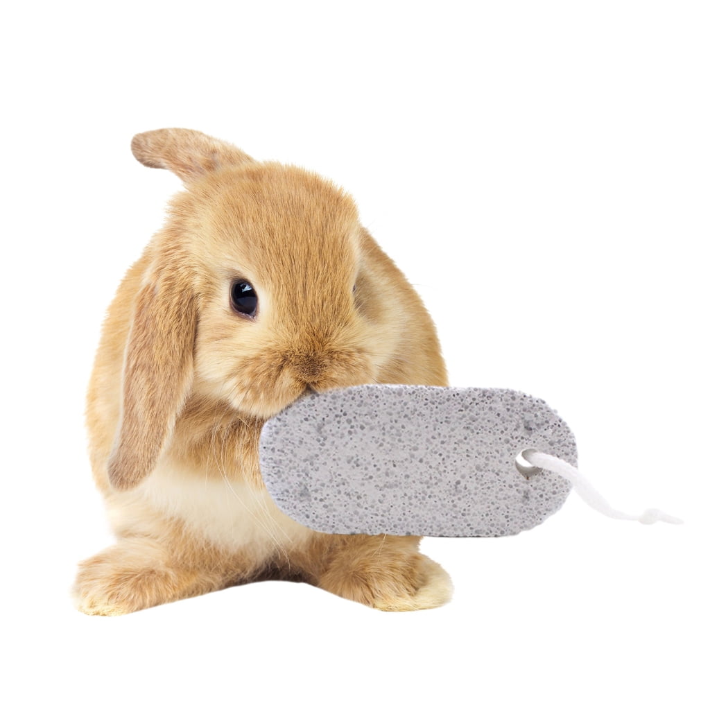 WINDLAND 5xRabbit Chew Toy Chewing Stick for Chinchillas Guinea Pigs Squirrels Rodents