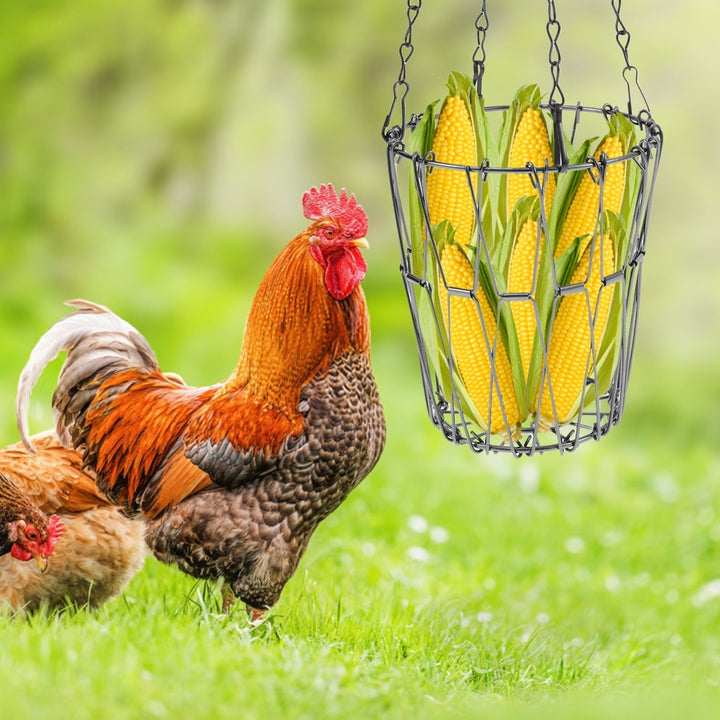 Grusce 2PCS Stainless Steel Chicken Vegetable Hanging Feeder, Large Capacity Chicken Fruit Feeder Reduced Waste for Duck Rabbit