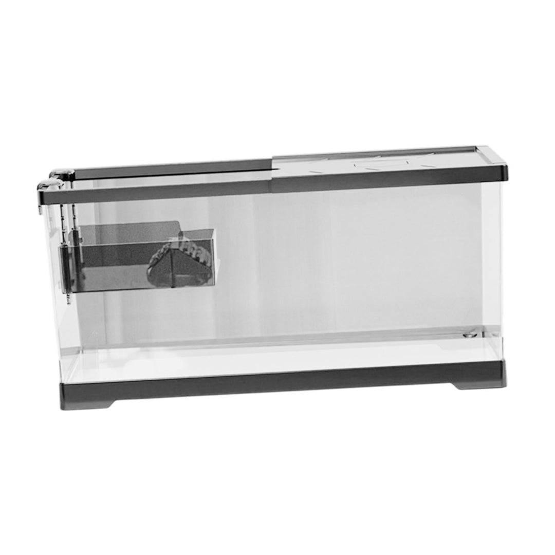 SiaBiced Turtle Tank Aquarium Tortoise Enclosure Starter Kit Hideout Reptile Tank with Basking Aquatic Terrarium for Breeding M w and Lid
