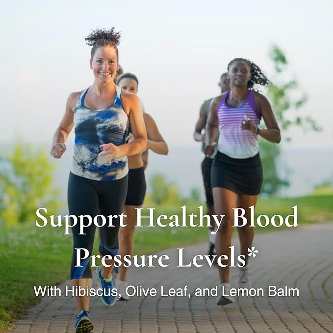Hiburil | Blood Pressure Support Formula | with Olive Leaf Extract, Hibiscus Extract, & Lemon Balm Extract | 90 Capsules