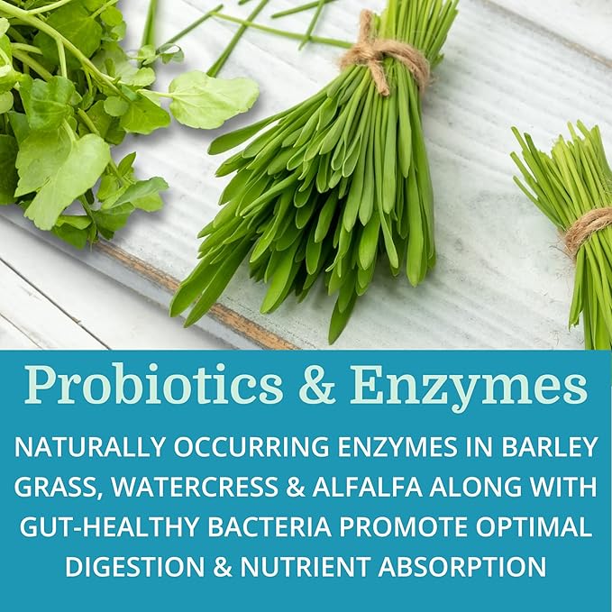 Alka•Cleanse Best Process Alkaline — Herbal Detox Colon Cleanse & Digestive Distress Formula — Psyllium Husk, Probiotics, Enzymes & Herbs (2)