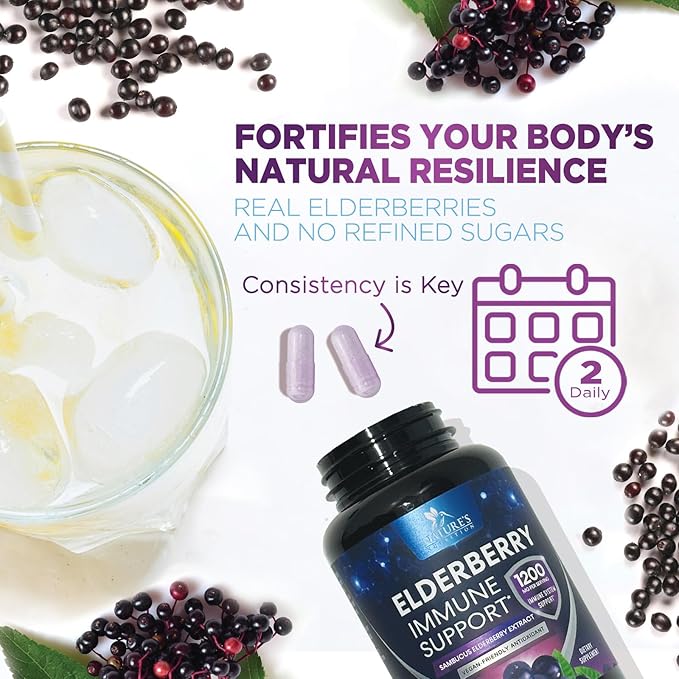 Elderberry Immune Support Extract Capsules - Daily Immune Support for Adults with Natural Sambucus Black Elderberry Antioxidant - No Sugar & Gluten Free Vitamin, Non-GMO Supplement - 120 Capsules
