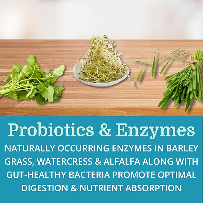 Alka•Cleanse Best Process Alkaline — Herbal Detox Colon Cleanse & Digestive Distress Formula — Psyllium Husk, Probiotics, Enzymes & Herbs (1)