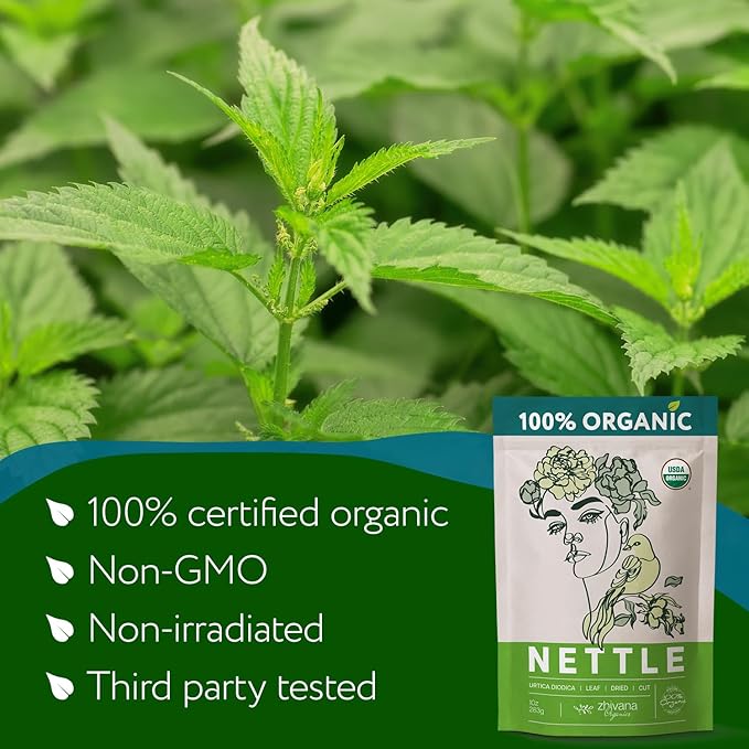 Stinging Nettle Tea Organic Loose Leaf - Dried Nettles Herb, Ortiga Tea – Cleanse Body, Remove Toxins, Easy Allergy – 10 oz