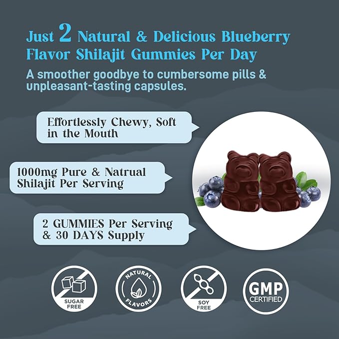 2 Packs Shilajit Supplement Gummies with 85+ Trace Minerals Supplement, Shilajit for Men & Women - 120 Blueberry Flavored Gummies