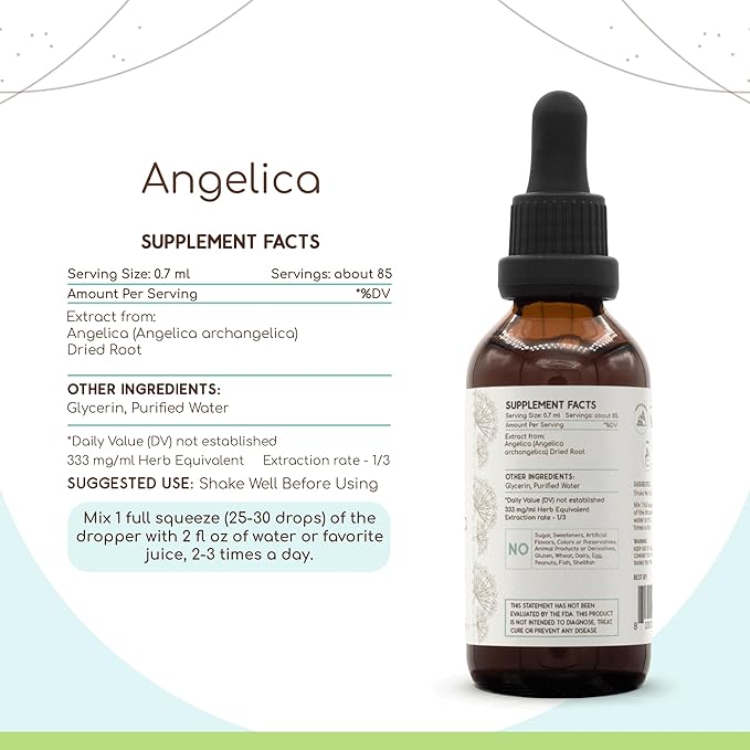 Angelica B60 Alcohol-Free Herbal Extract Tincture, Concentrated Liquid Drops Natural Angelica (Angelica archangelica) Dried Root (2 fl oz)