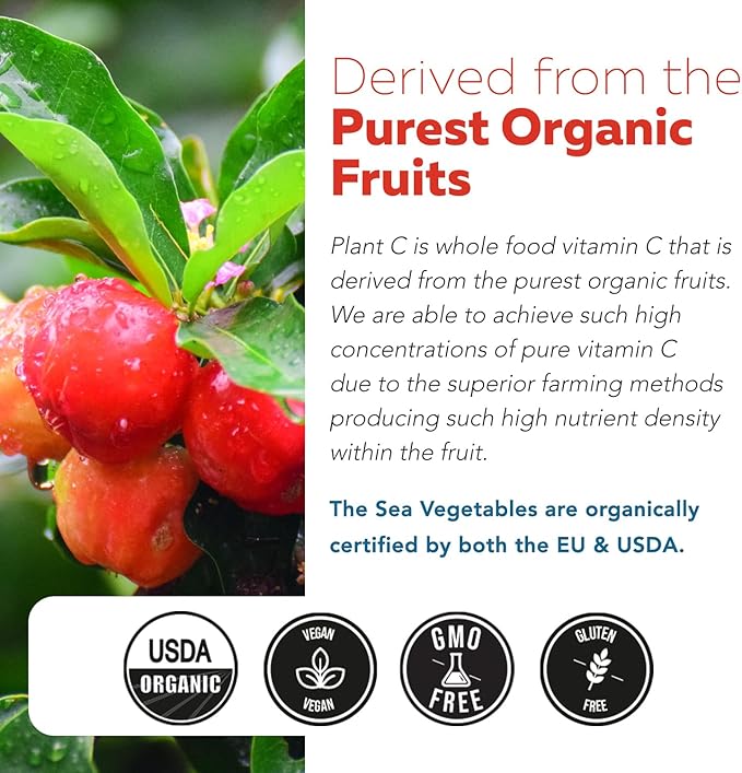 Organic Vitamin C | Whole Food Vitamin C from Fruit Plus Absorption Enhancing Cofactors - Vegan, Enhanced Bioavailability - Immune Support, Antioxidant, Total Health (90 Servings)