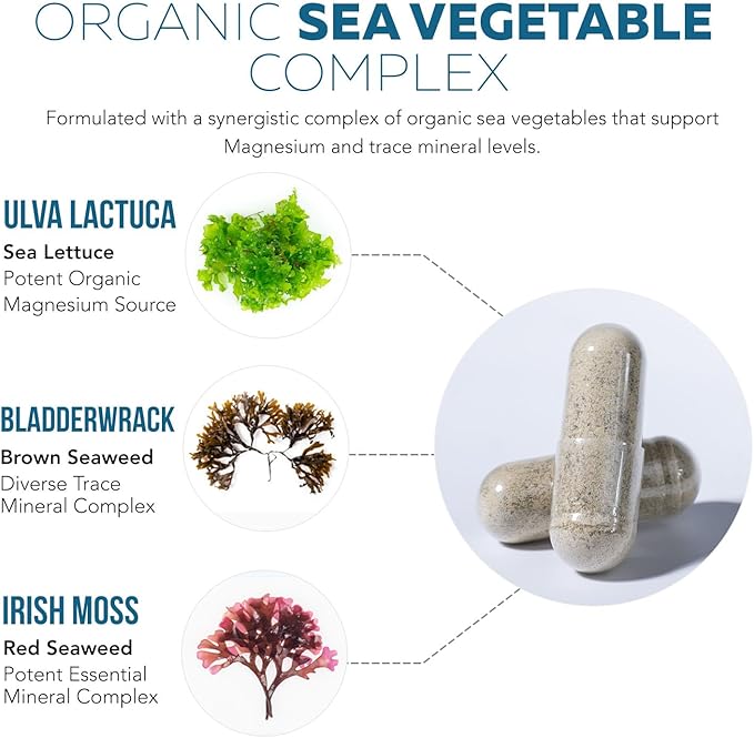Organic Magnesium | Whole Food Magnesium - Plant-Based, Organic Sea Vegetable Complex - 250 mg Magnesium Per Serving | Water Extracted | Gentle on Stomach | Energy, Sleep, Muscle, Heart - 60 Capsules