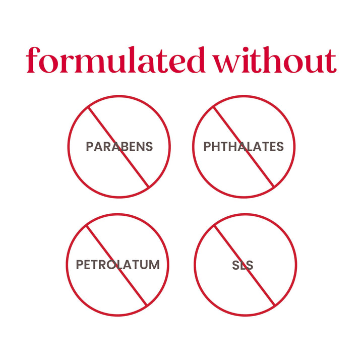 Burt's Bees A Bit of Burt's Bees Beeswax Lip Balm and Hand Salve Gift Set, Natural Origin Skin Care and Lip Care, 2-Piece Set, 0.15 oz./0.3 oz.