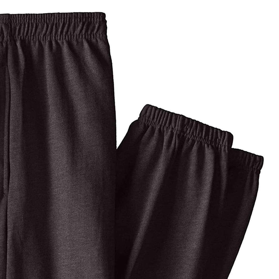 Champion Men's Big-Tall Fleece Pant, Charcoal Heather, 4X