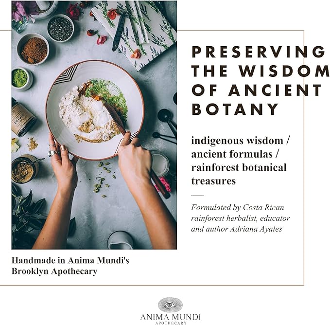Anima Mundi Apothecary Chaga Mushroom Powder - Organic Chaga Mushroom Powder - Immune System Support Supplement - Great for Tea, Coffee and More (5oz)
