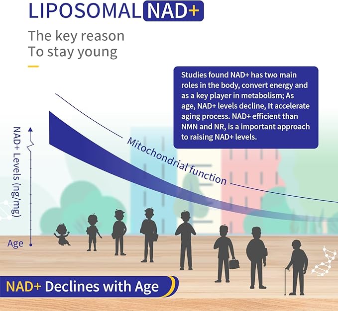 800MG Liposomal NAD+ with TMG 300MG, Actual NAD+ Supplement, Superior Absorption Boost NAD Plus for Cell Energy, Healthy Aging and Muscle Repair 120 Capsules (Pack of 2)