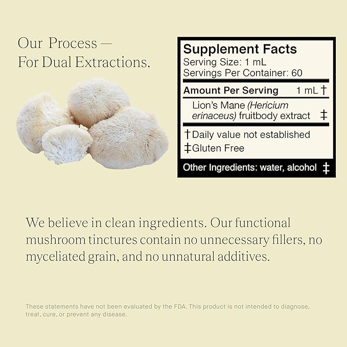 Lions Mane Extract - Double Extracted Fruitbody Mushroom Tincture, Natural Support for Mental Clarity, Brain Function, Memory, Cell Regeneration, Creativity & Mood (60 Servings)
