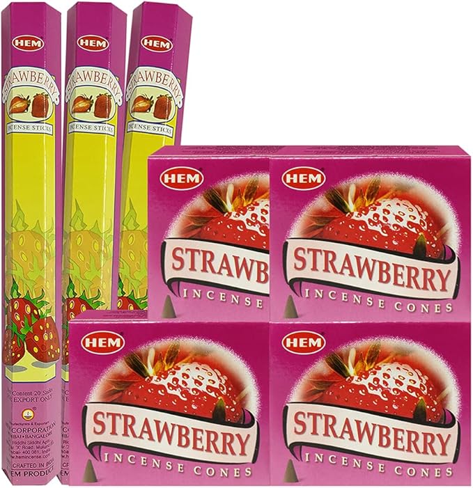 Strawberry Incense Sticks and Cone Incense Holder Variety Pack Bundle insence insense insienso