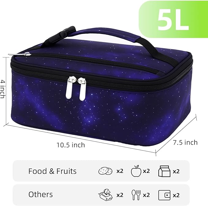 Small Lunch Box Insulated Lunch Bag for Women Men, Bento Kids Lunch Box, Compact Portable Thermal Meal Cooler Bags with Buckle Handle for Work & School, Astral 5L