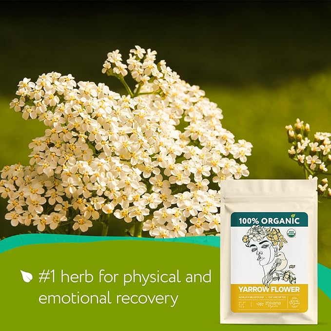Yarrow Flower Tea Organic - Dried Yarrow Herb Loose Leaf - Herbal Tea to Support Cardiovascular Health, Immune Function & Relaxation - 4 Ounces