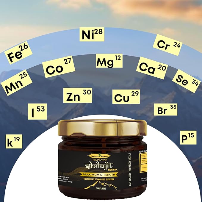 Pure Organic Himalayan Shilajit Resin for Men & Women (30Gm / 1.0 Ounce)