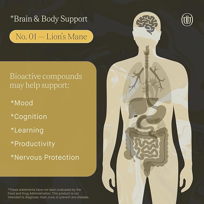 Lions Mane Extract - Double Extracted Fruitbody Mushroom Tincture, Natural Support for Mental Clarity, Brain Function, Memory, Cell Regeneration, Creativity & Mood (240 Servings)