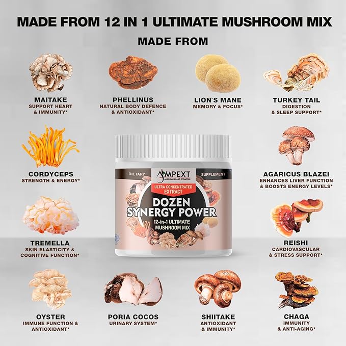 12-in-1 Dozen Synergy Power: Premium Complex of 12 Carefully Selected Fruiting Body Mushroom Extracts, Supporting Immunity, Cognitive & Cardiovascular Functions